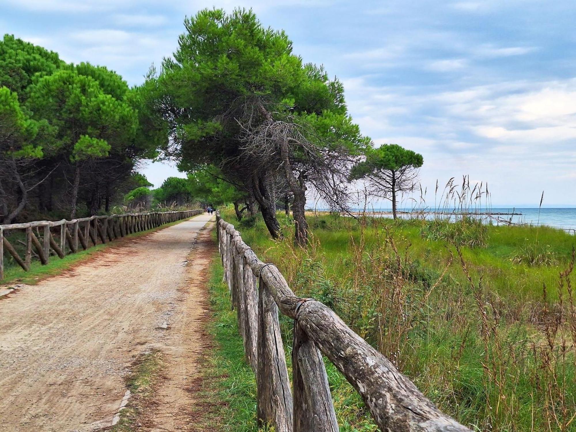 With Private Garden And Parking Appartamento *